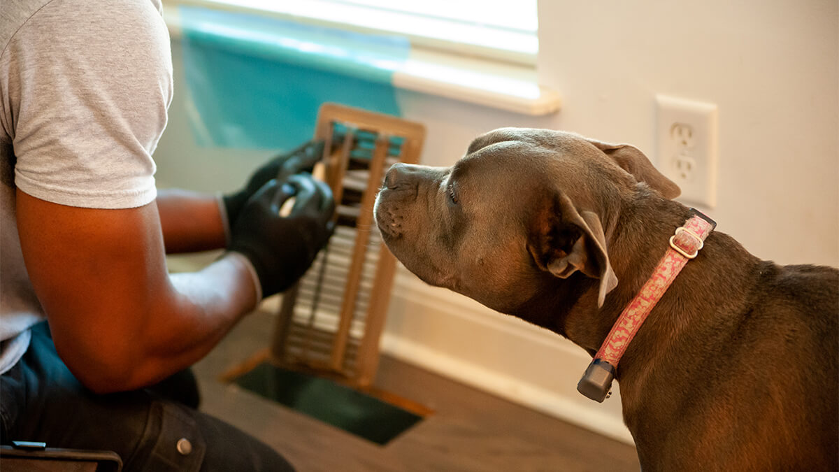 gallery-vent-cleaning